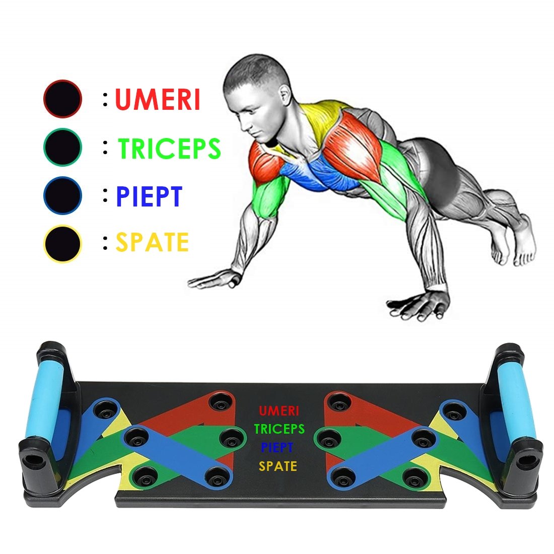 PLACA FITNESS CU MANERE PENTRU ANTRENAMENT