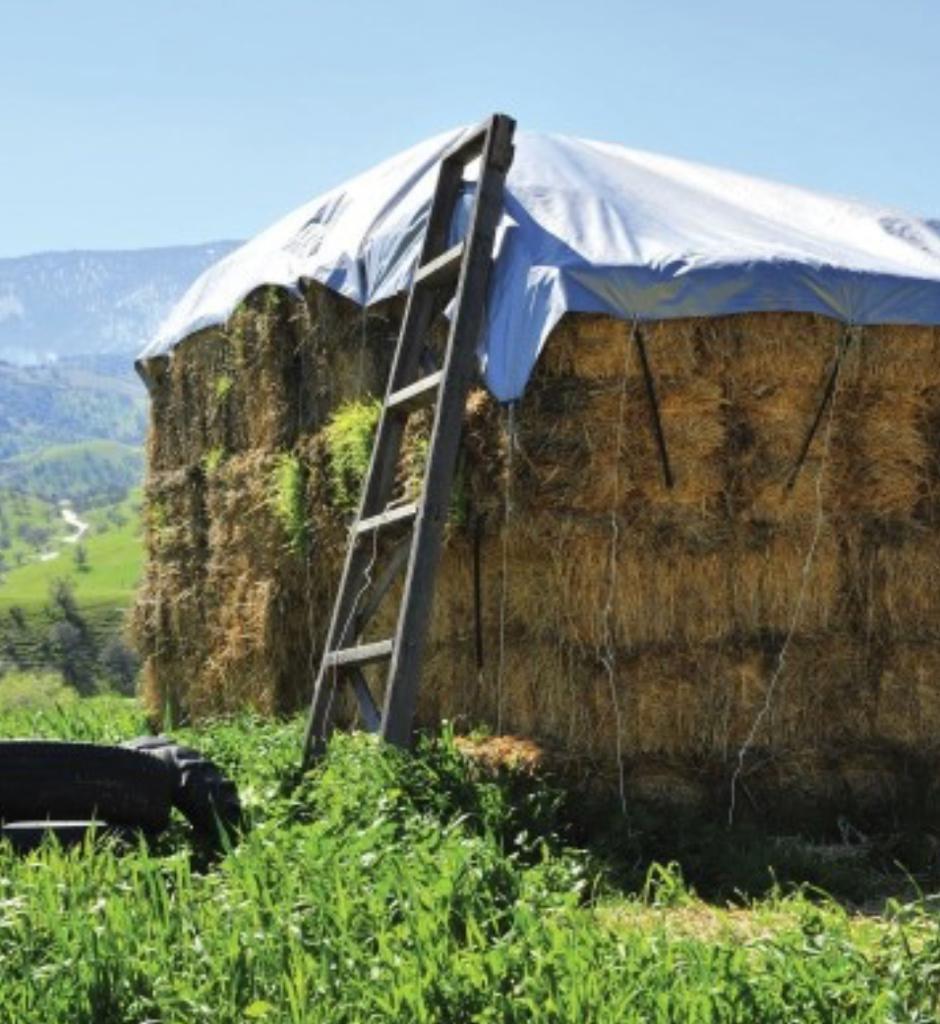 2X PRELATA IMPERMEABILA, REZISTENTA, CU INELE 4x5 m- ALBASTRU